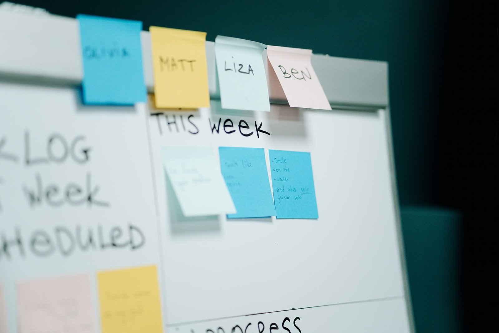 project management