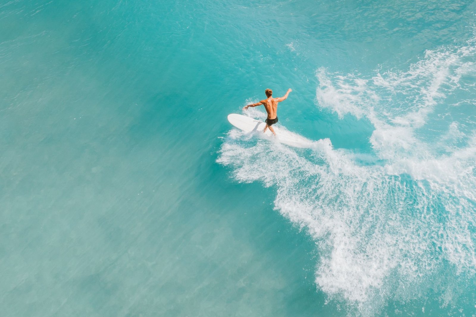 surfer seo